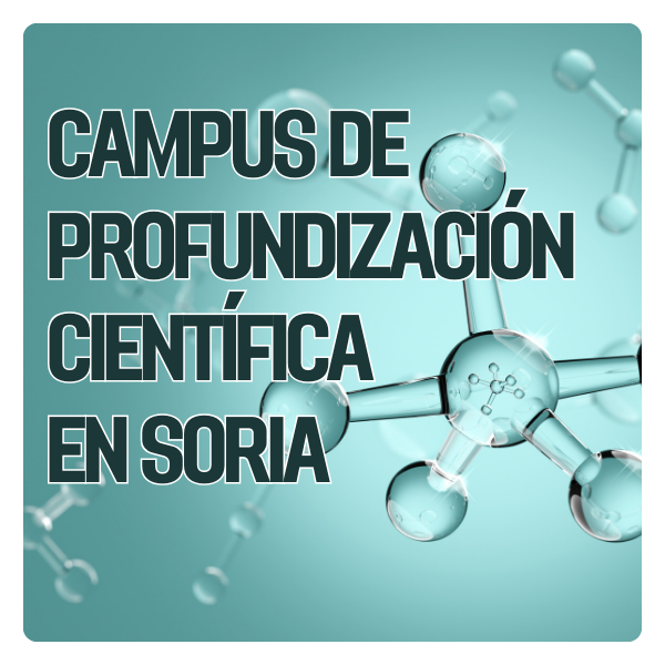 Actualidad