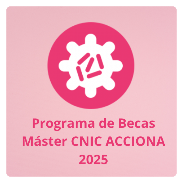 Becas y ayudas